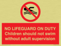 no-lifeguard-on-dutychildren-should-not-swim-without-adult-supervision~